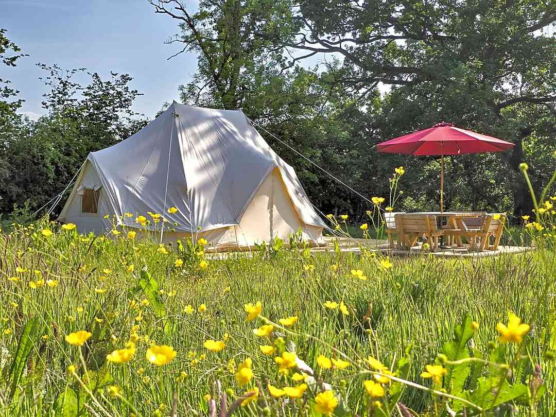 Wern Meadow Glamping Escape (photo ajoutée par le gestionnaire le 25 août 2025)