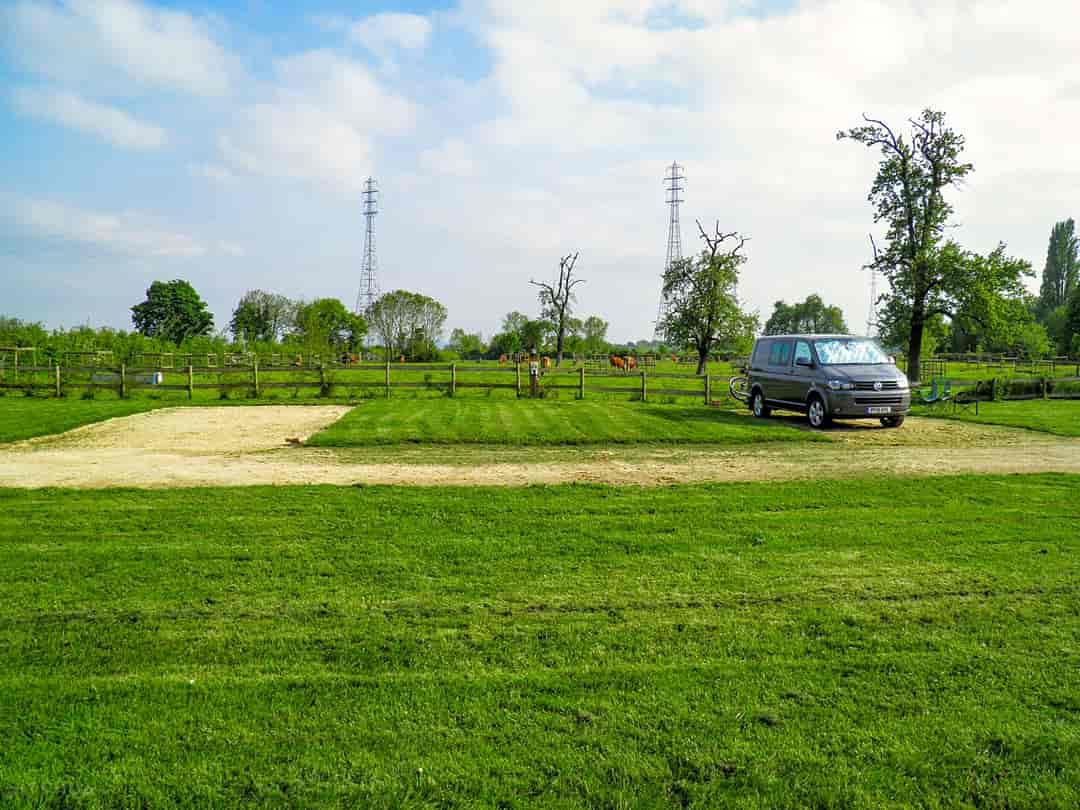West End Farm Campsite: Pitches on site