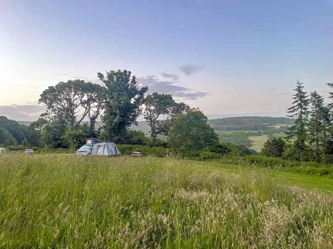 Penn Farm Campsite: Pitches on site
