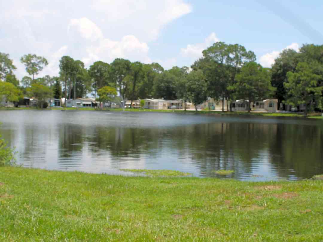 Bee S Rv Resort Clermont Pitchup