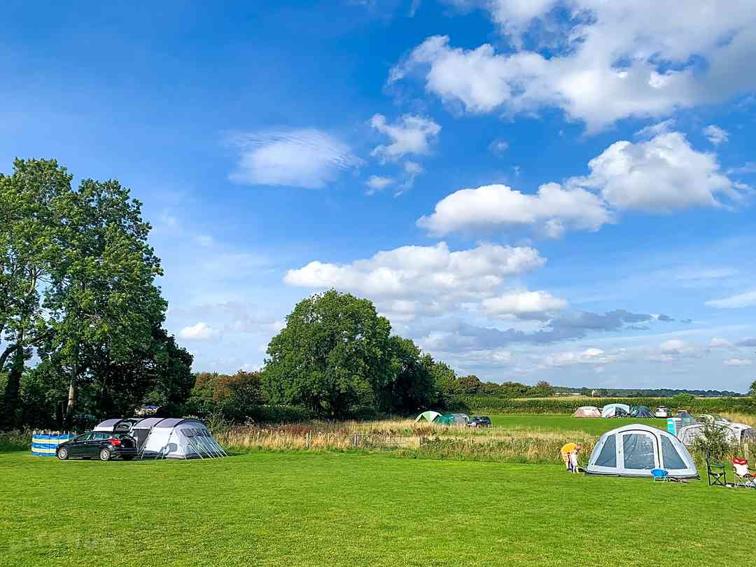 Greenacres Campsite: Plenty of space to relax
