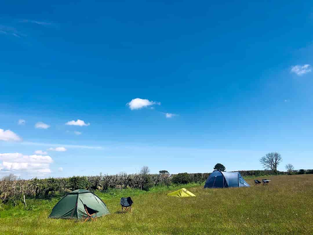 Farleigh Camping