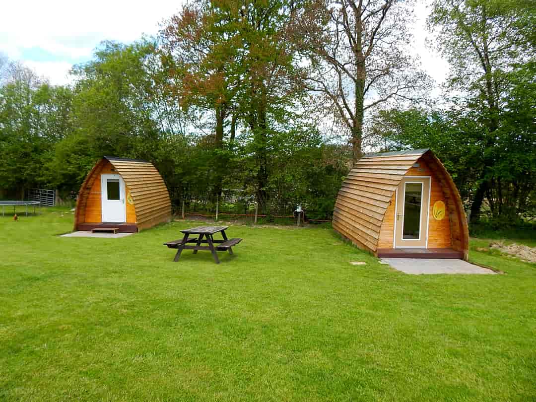 Irfon Valley Pods and Camping: Sunflower and Daffodil pods