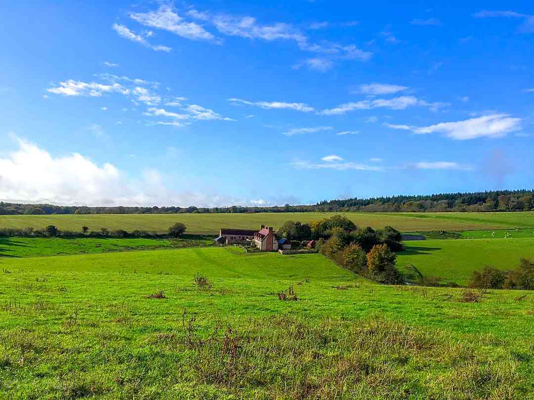 Gumber Farm (fotografie přidána správcem na 13.02.2024) Gumber Farm (fotografie přidána správcem na 13.02.2024)