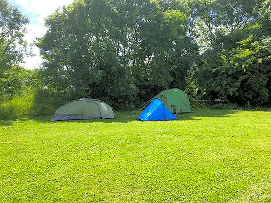 Crosshands Log Pods: Grassy pitches (photo added by manager on 25/02/2022)