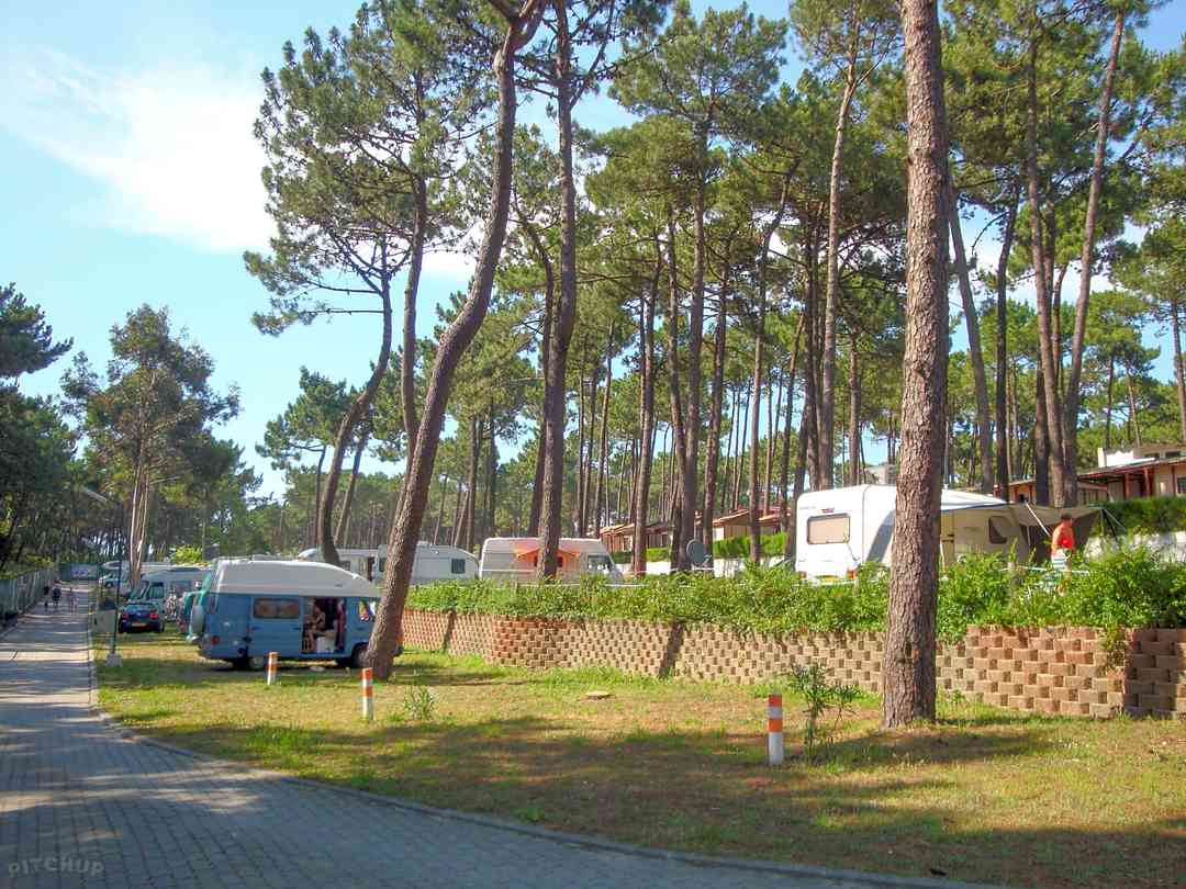 Parque Orbitur Viana do Castelo: Wooded site
