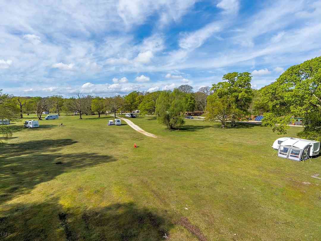 Denny Wood: Grass pitches