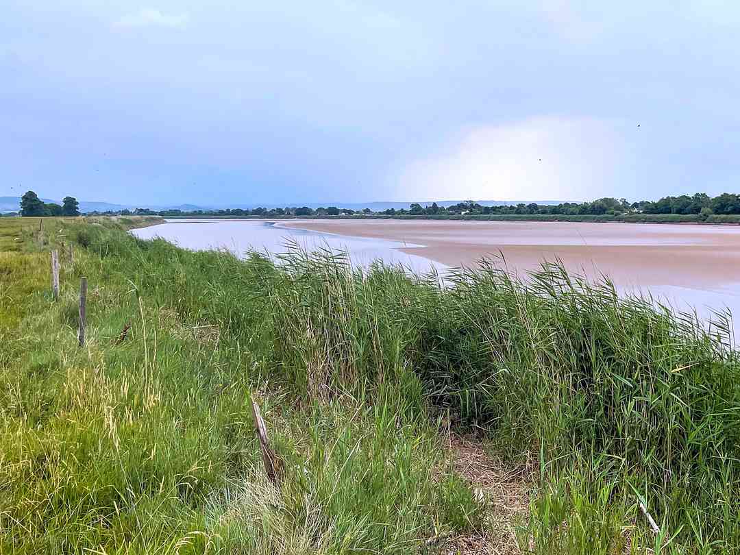 River Severn Bank Pop-up Campsite: The River Severn, right beside the pitches