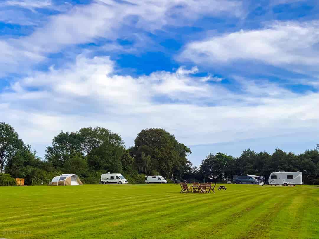 Sussex Topiary Campsite: Electric and non-electric grass tent pitches (photo added by manager on 23/09/2022)