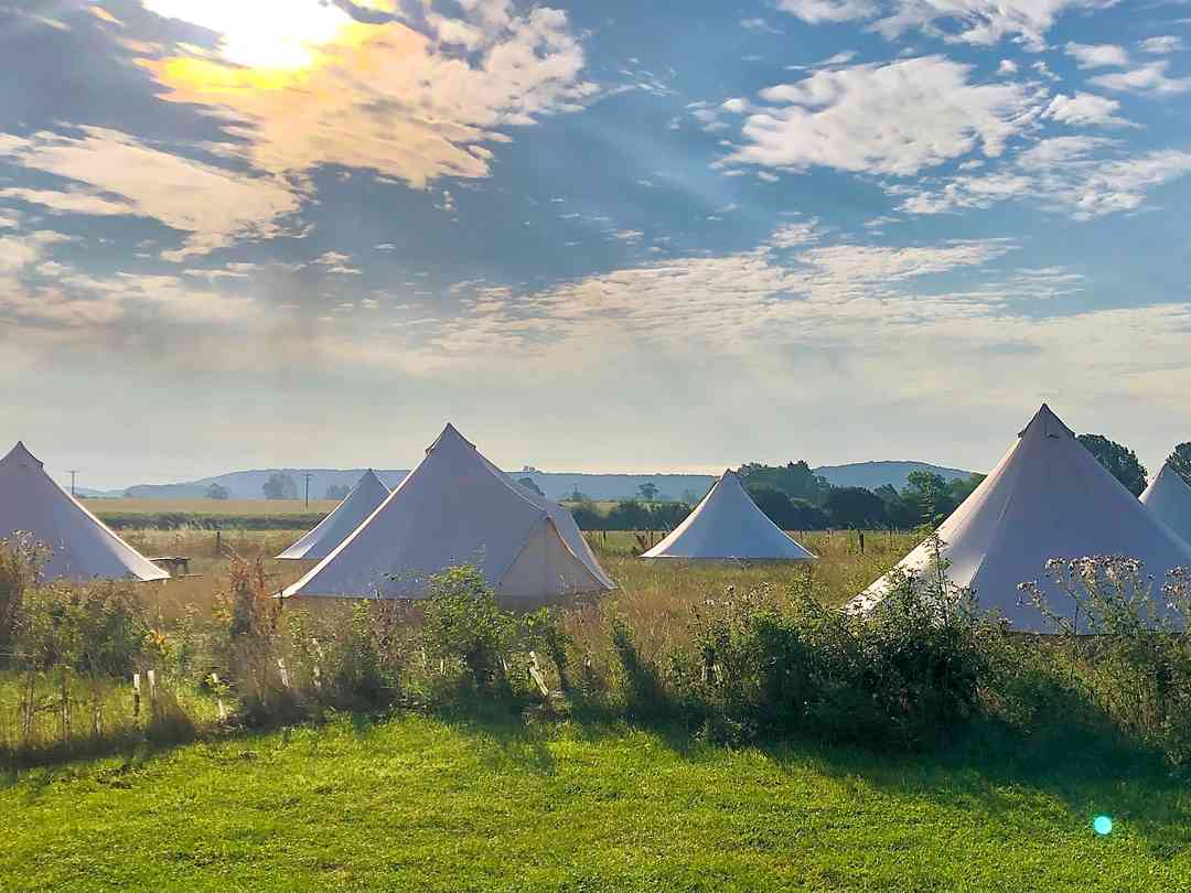 Orchard View Farm: Glamping tents in the morning sun (photo added by manager on 16/08/2022)