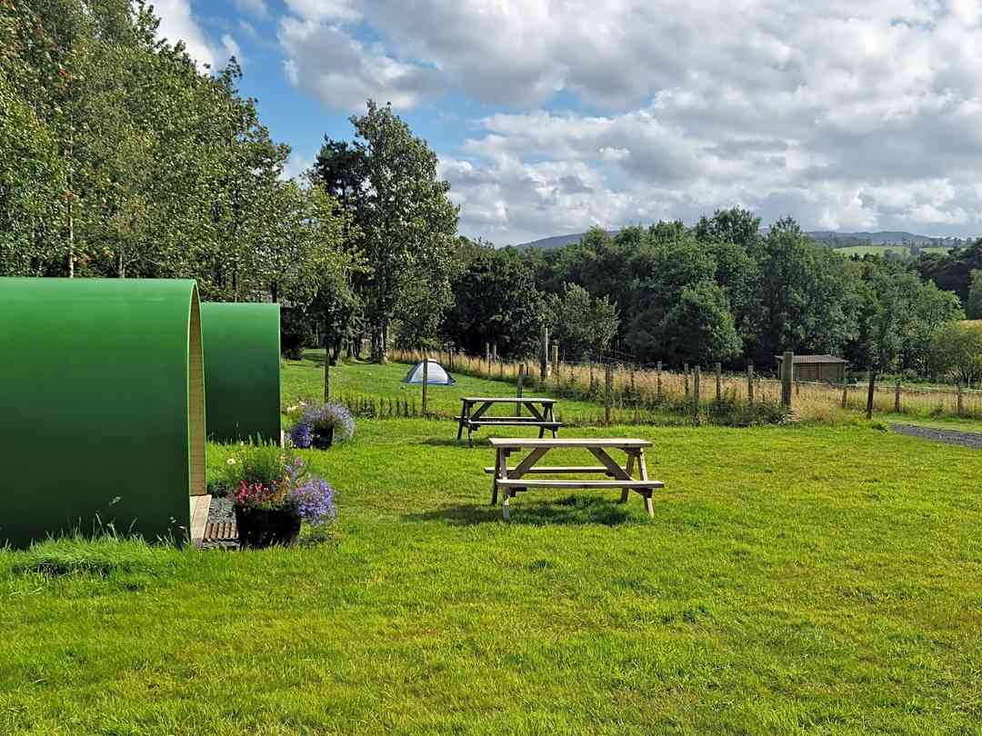 Drymen Camping: Green Pods with Standard Pitches in the distance (photo added by manager on 22/08/2022)