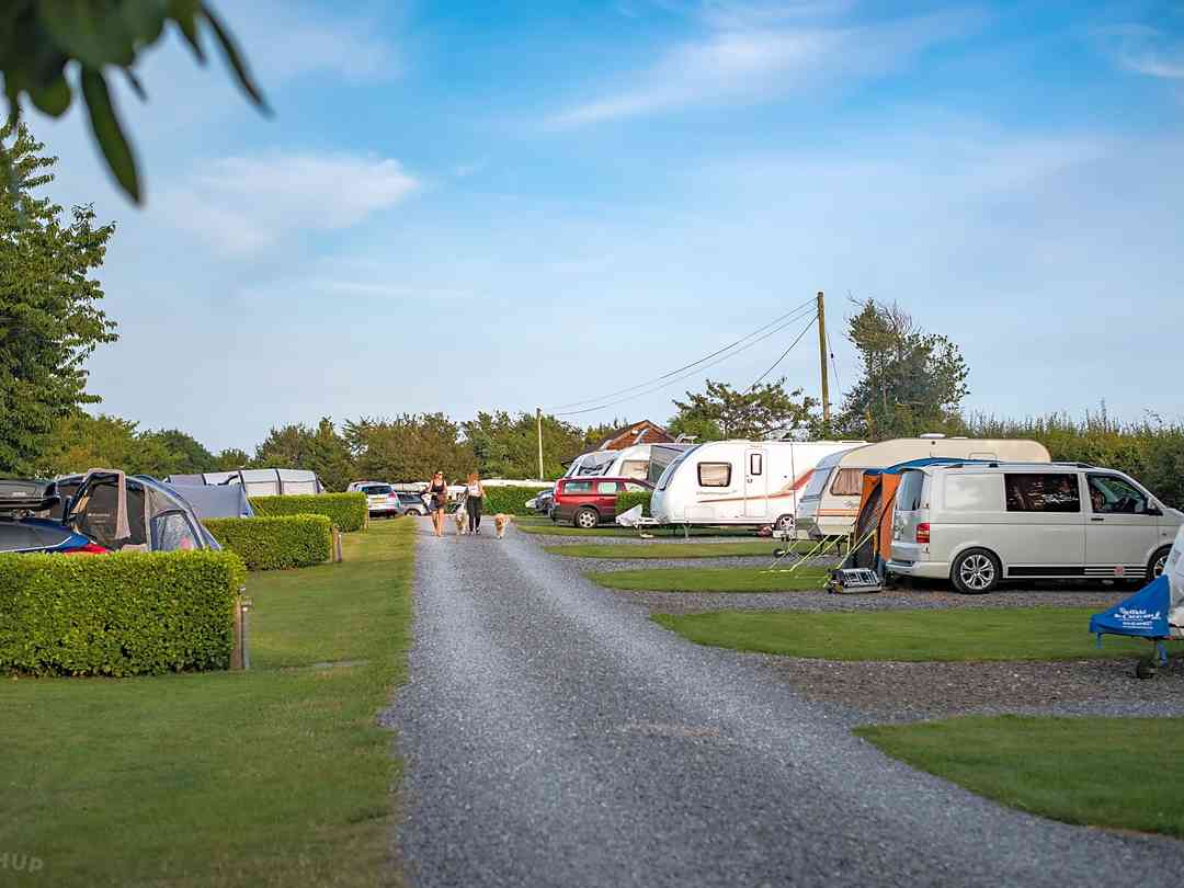 Barley Meadow Touring Park: The top road