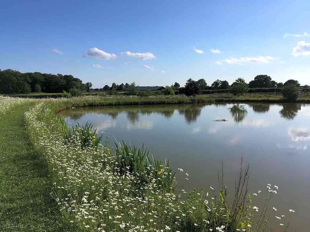 Oxton Hill Hideaway: Farm lake