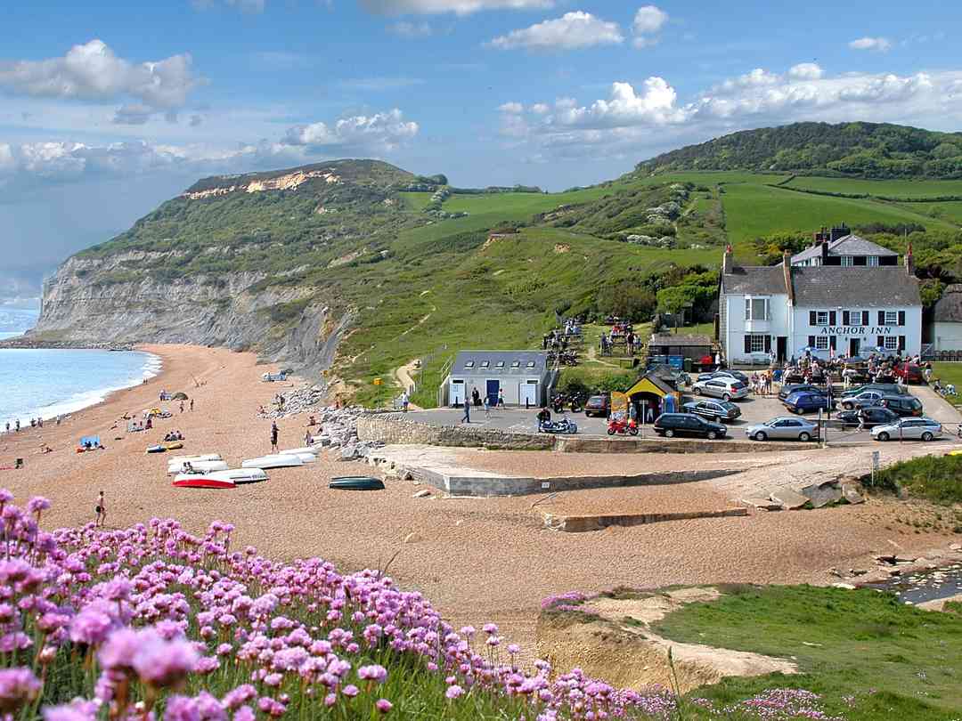 Golden Cap Holiday Park: The area surrounding the park