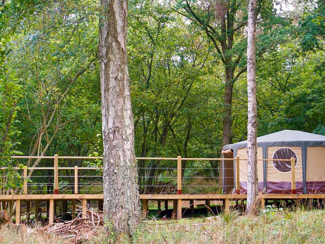 English Forest Experience: Yurt and decking (photo added by manager on 31/08/2023)