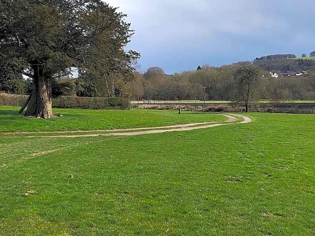 Panpwnton Farm: Grass pitches
