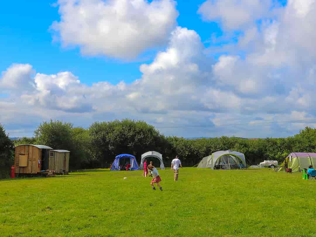 Meadowsweet Farm: Camping field