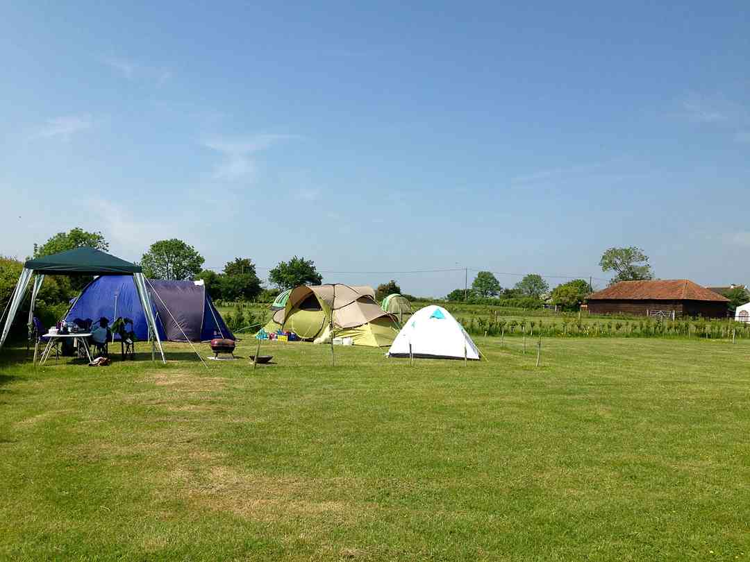 Find Cheap Tent Campgrounds In East Anglia Pitchup