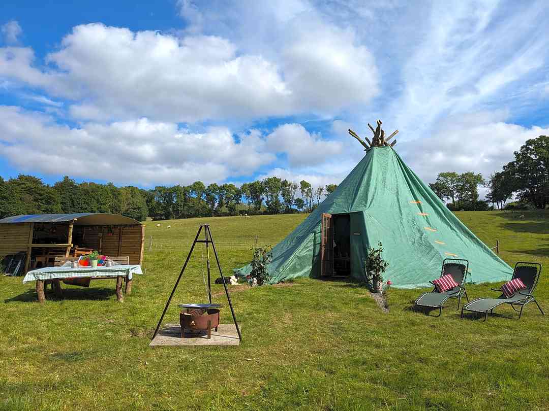 Pitch up camping discount