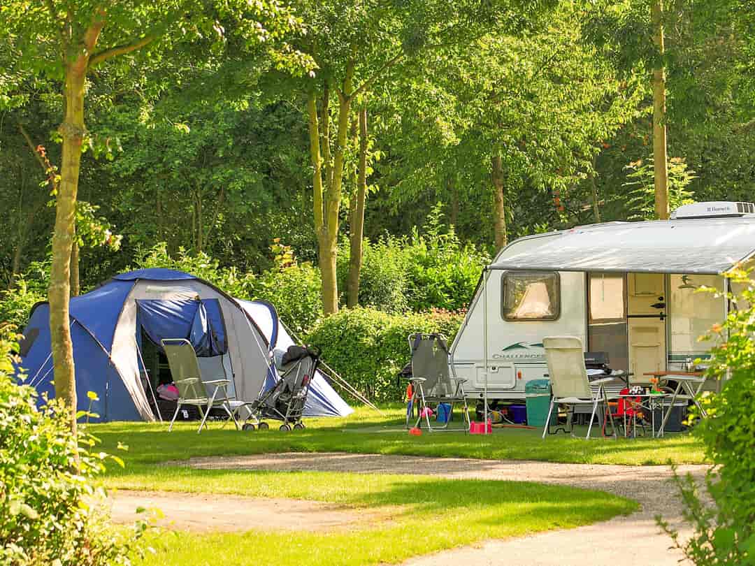 pijpleiding Hertogin Fietstaxi Goedkope campings voor tenten in Nederland 2023 vanaf € 9 per nacht -  Pitchup