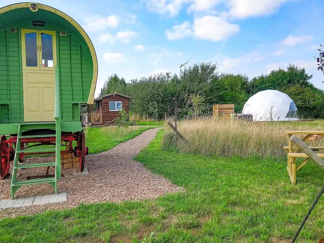 Gayton Farm: The Glamping Site (photo added by manager on 26/09/2022)