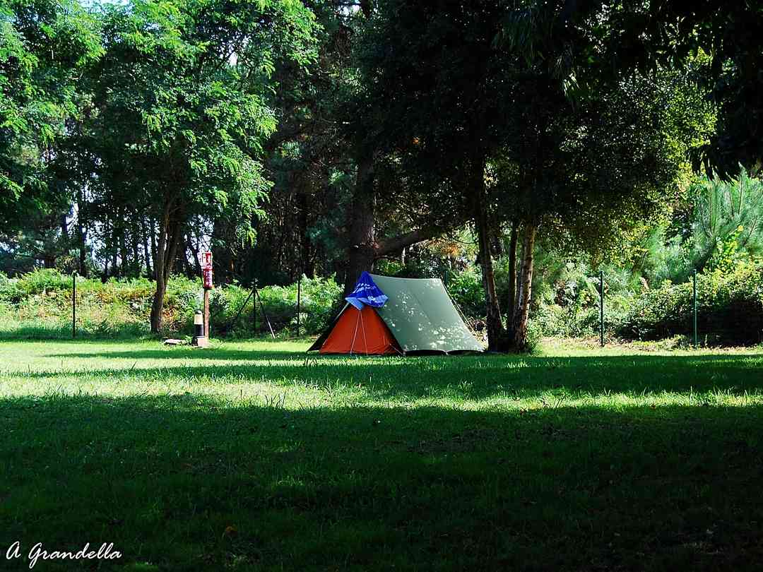 Encuentra Campings Baratos Para Tiendas En Principado De Asturias