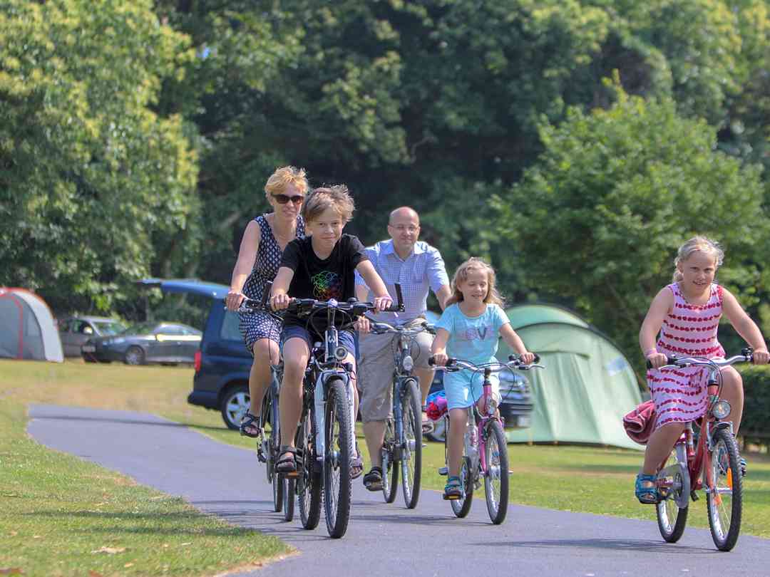 Lady's Mile Holiday Park: Bikes