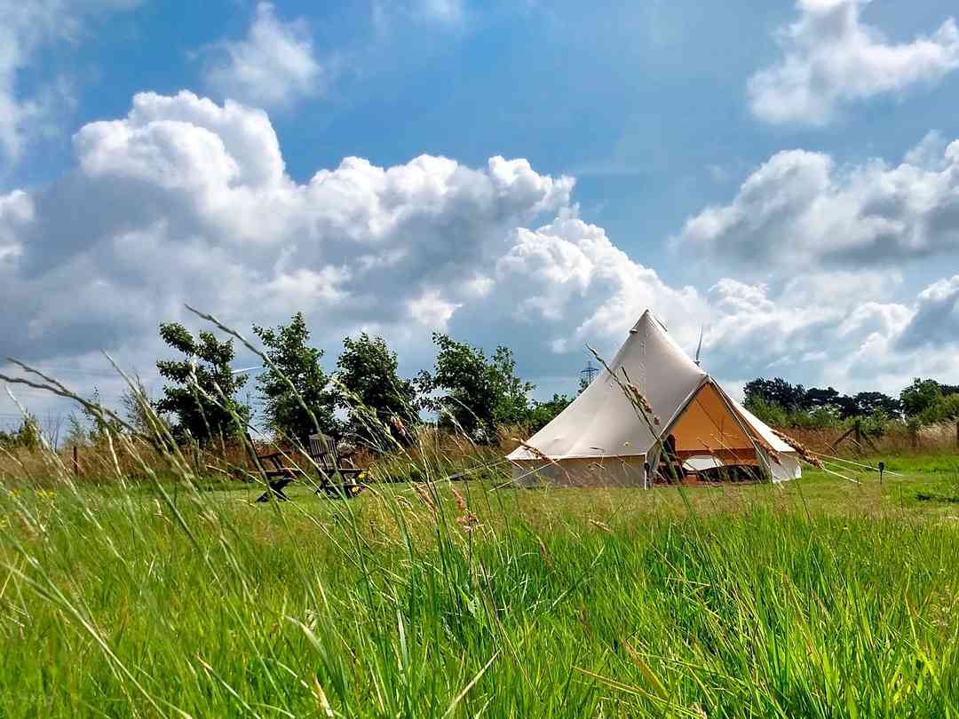 Moss Rose Campsite