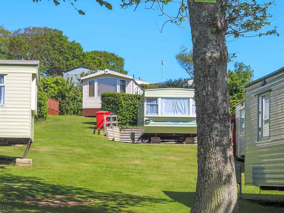 Cheverton Copse Holiday Park: Around the site