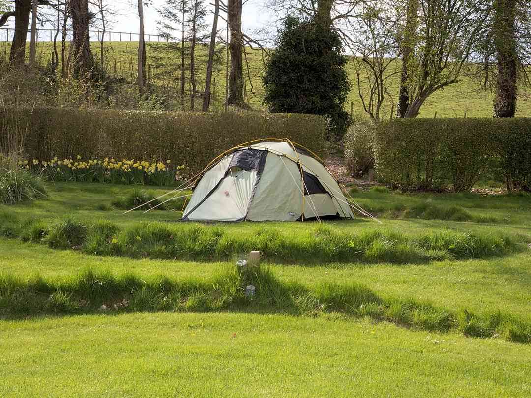 Find Cheap Tent Camping Sites In Bamburgh Northumberland Pitchup