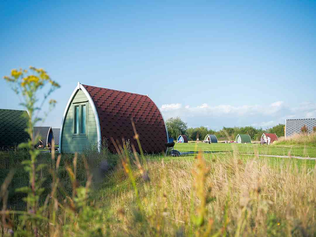 Stanley Villa Farm Fishing and Camping: Sunny day (photo added by manager on 08/08/2017)
