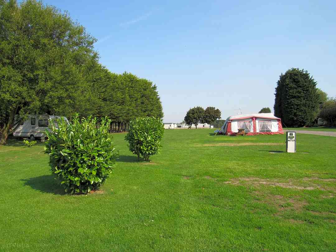 Tall Trees Touring Park: Large grass pitches