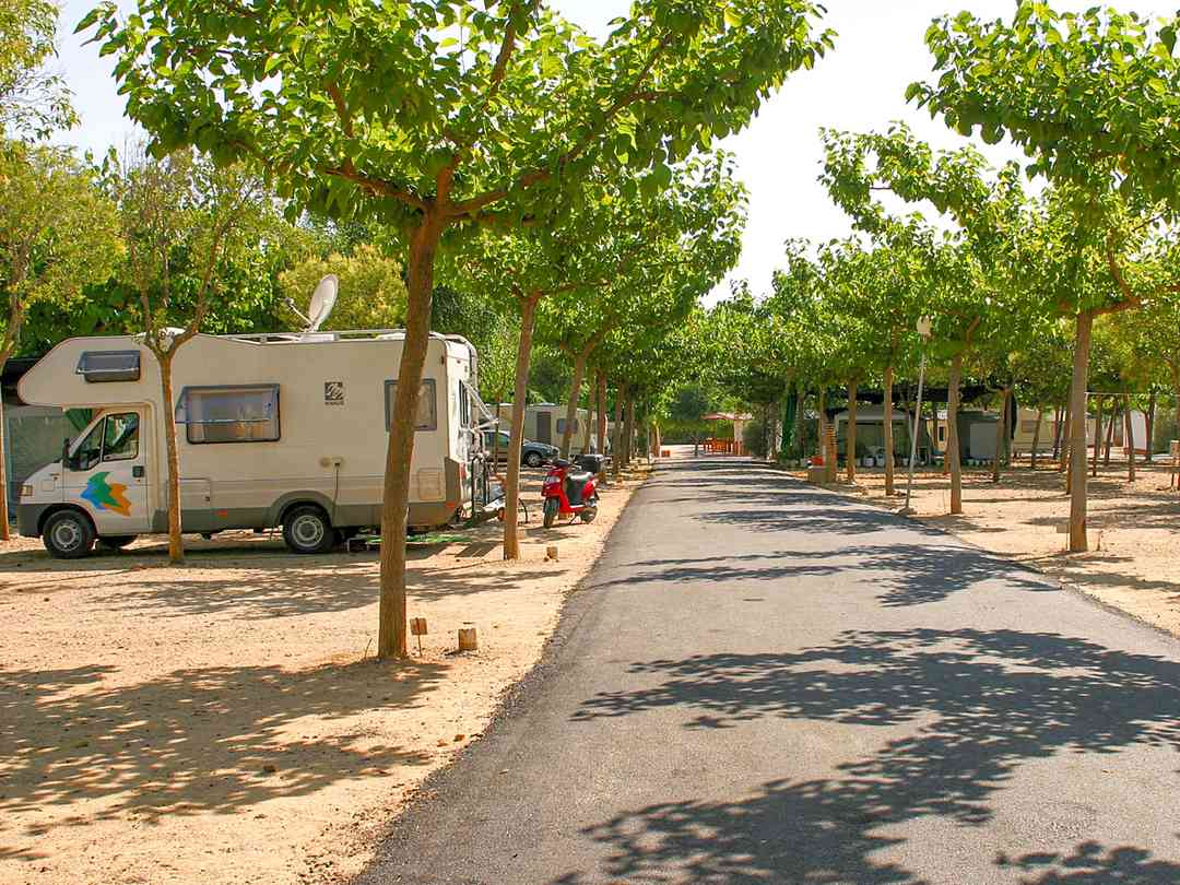 Camping Carlos III: Pitches on site