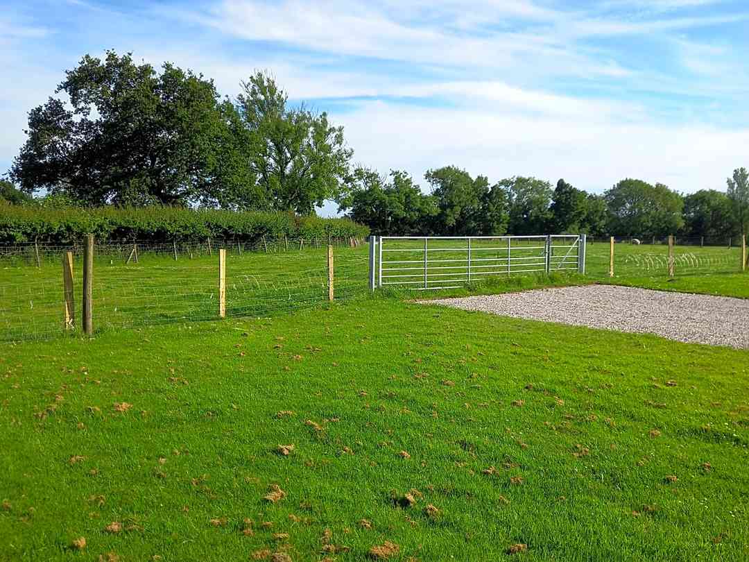 Norcross (фото добавлено менеджером 20.06.2022) Norcross (фото добавлено менеджером 20.06.2022)