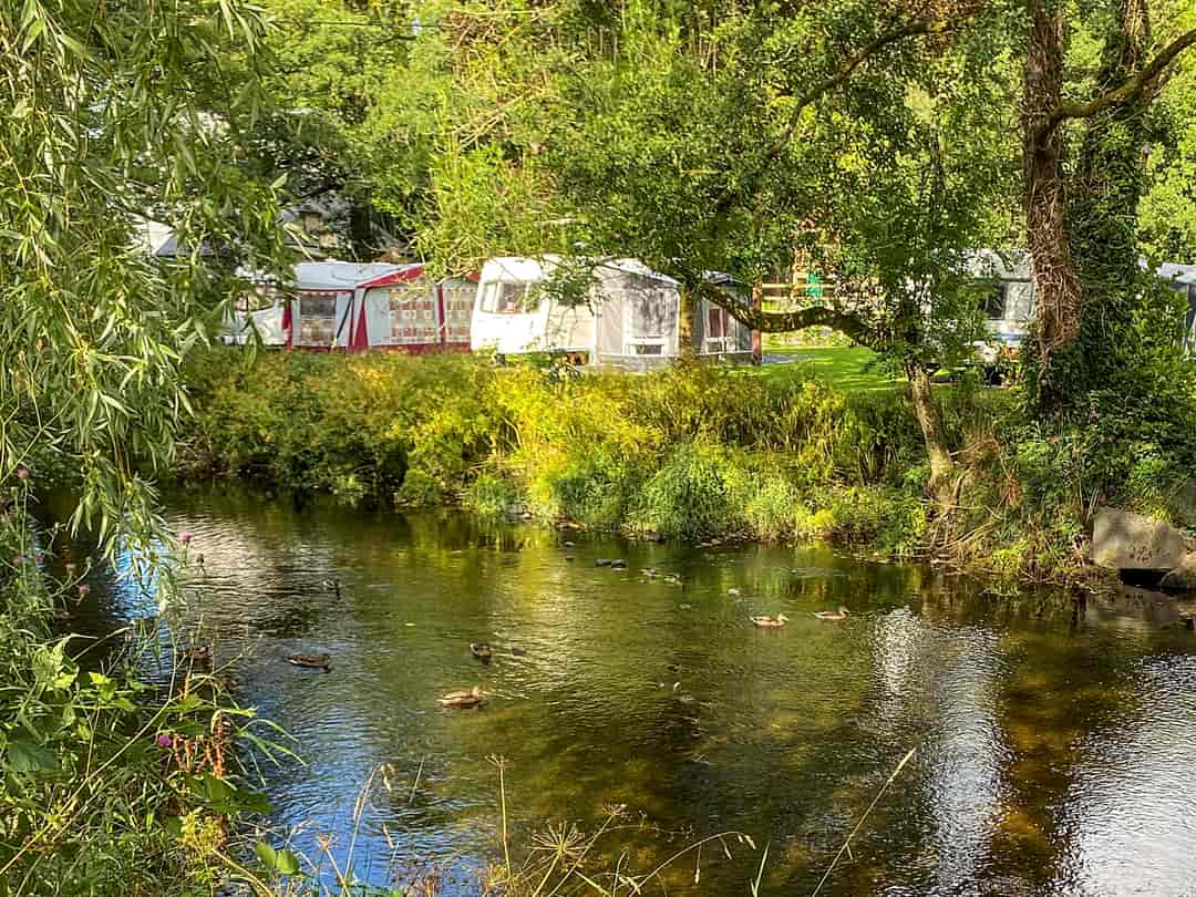 Riverbend Caravan Park: Visitor image of a pitch by the river