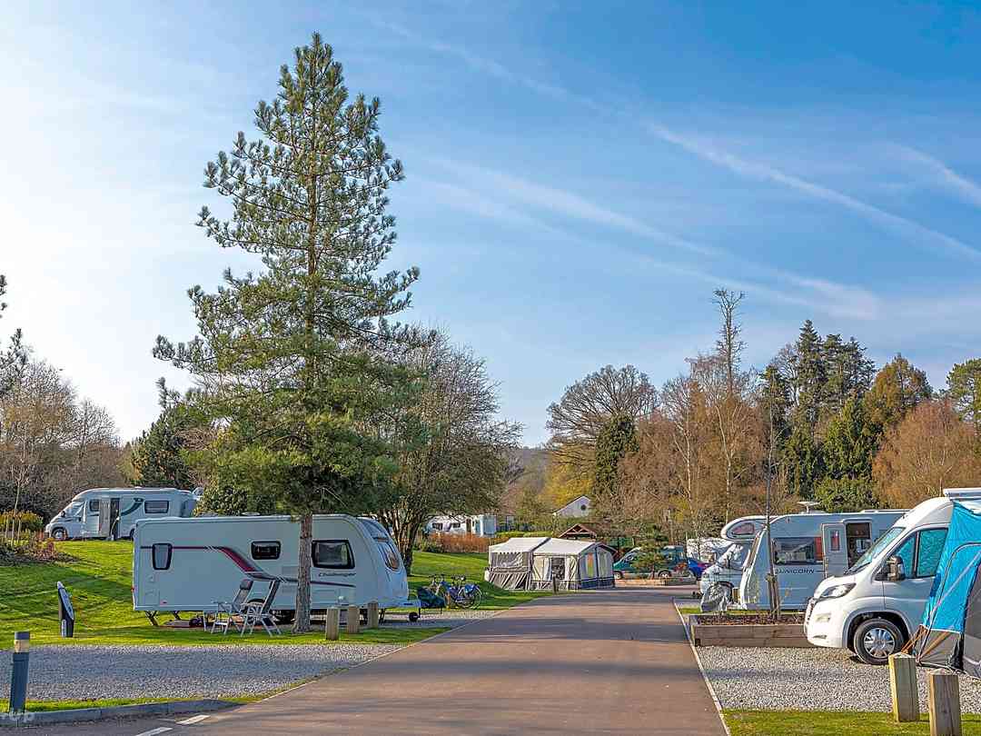 Whitemead Forest Park: Well-spaced pitches