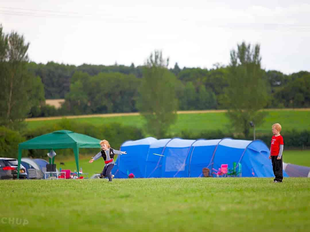 Hatton Camping: Pitches for tents (photo added by manager on 27/07/2022)