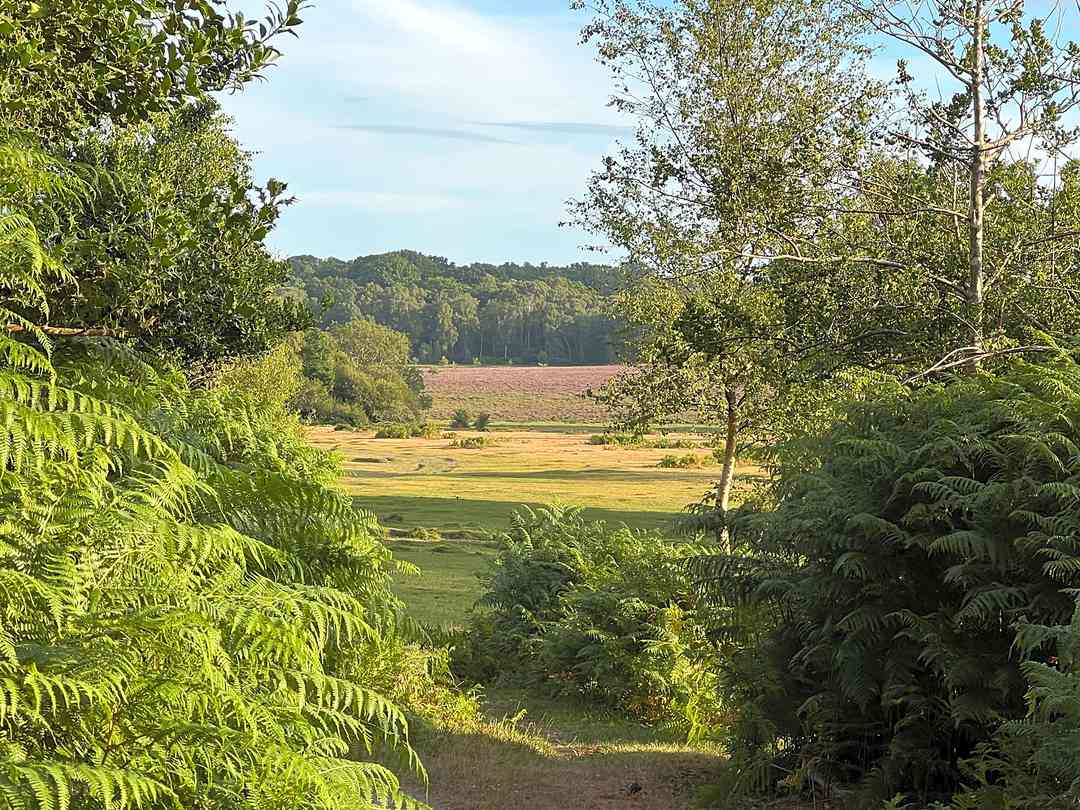 Home Farm (foto aggiunta dal gestore il giorno 29/03/2023)