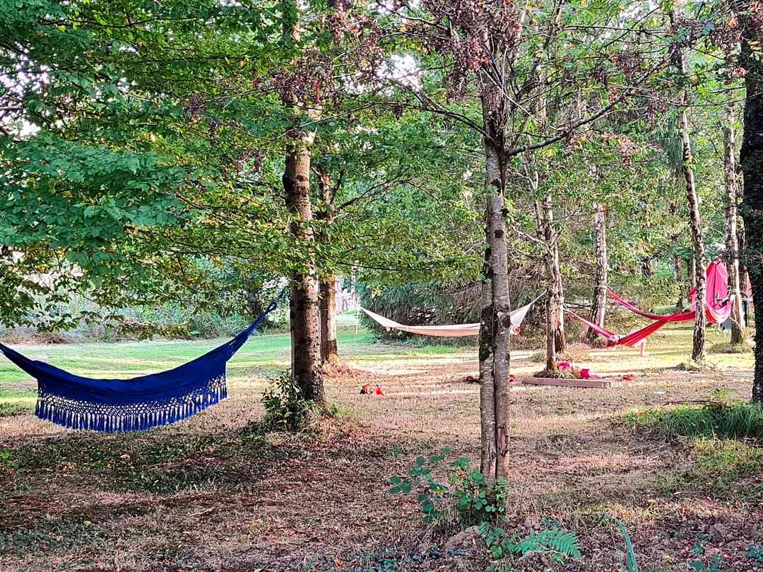 Reforge Retreat: Hammock area
