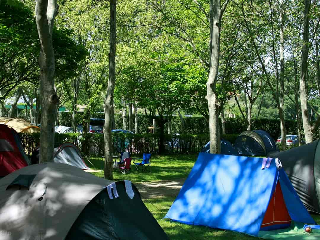 Camping El Pinajarro: Tents welcome