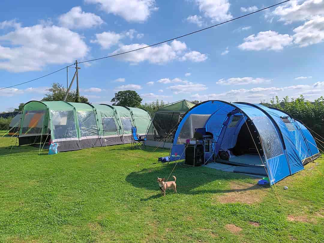 New Broom Camping and Caravan Site: Pitch