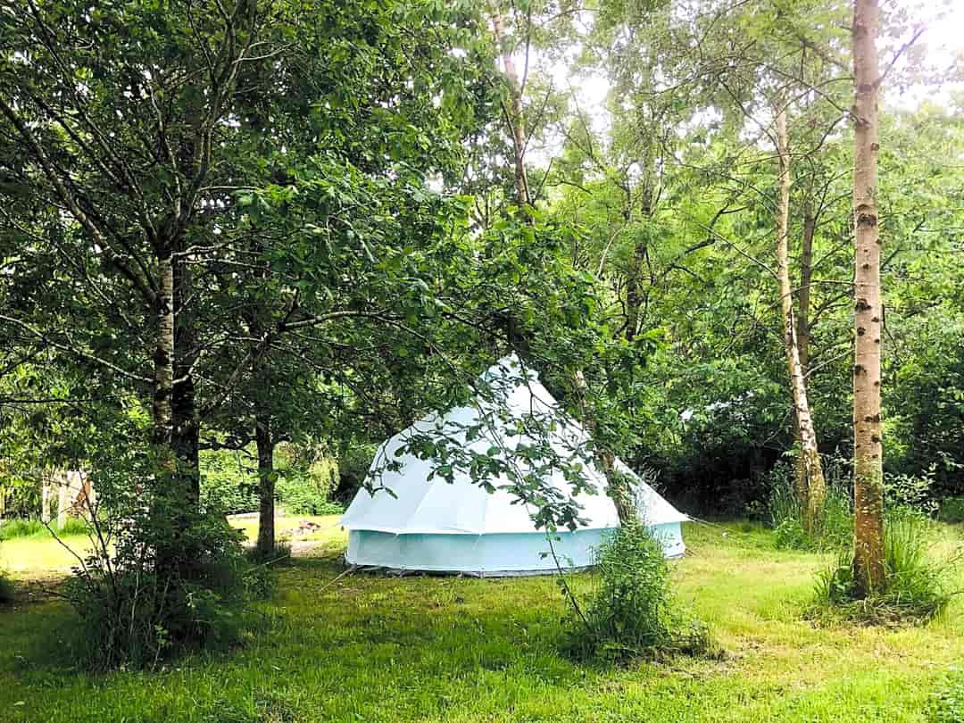 Reforge Retreat: Bell tent hidden among the trees