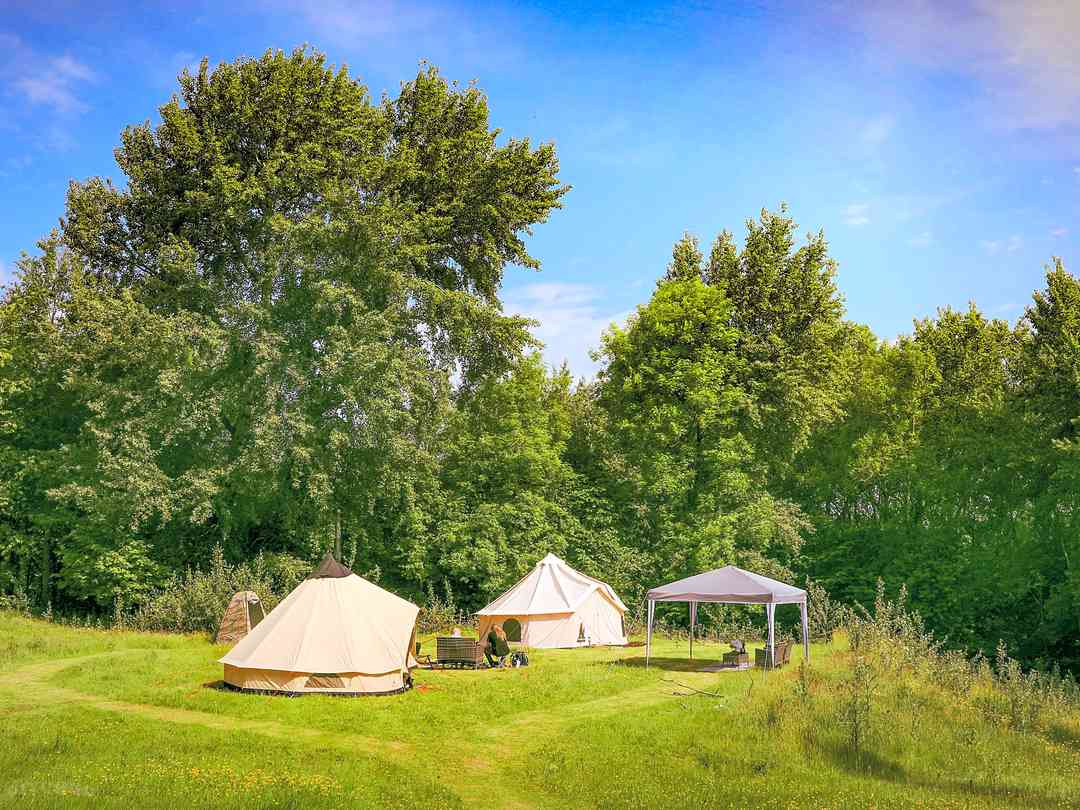 Wellness Woodlands (фото добавлено менеджером 12.09.2022)