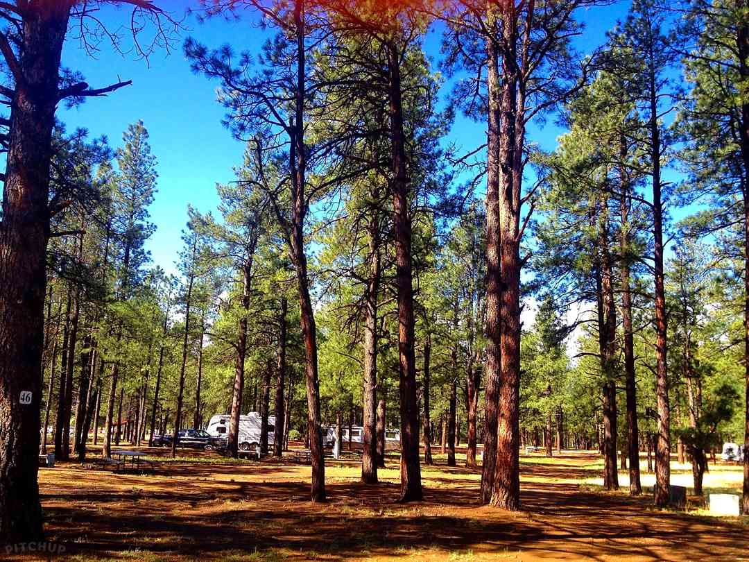 Pendaries Rv Park Rociada Pitchup