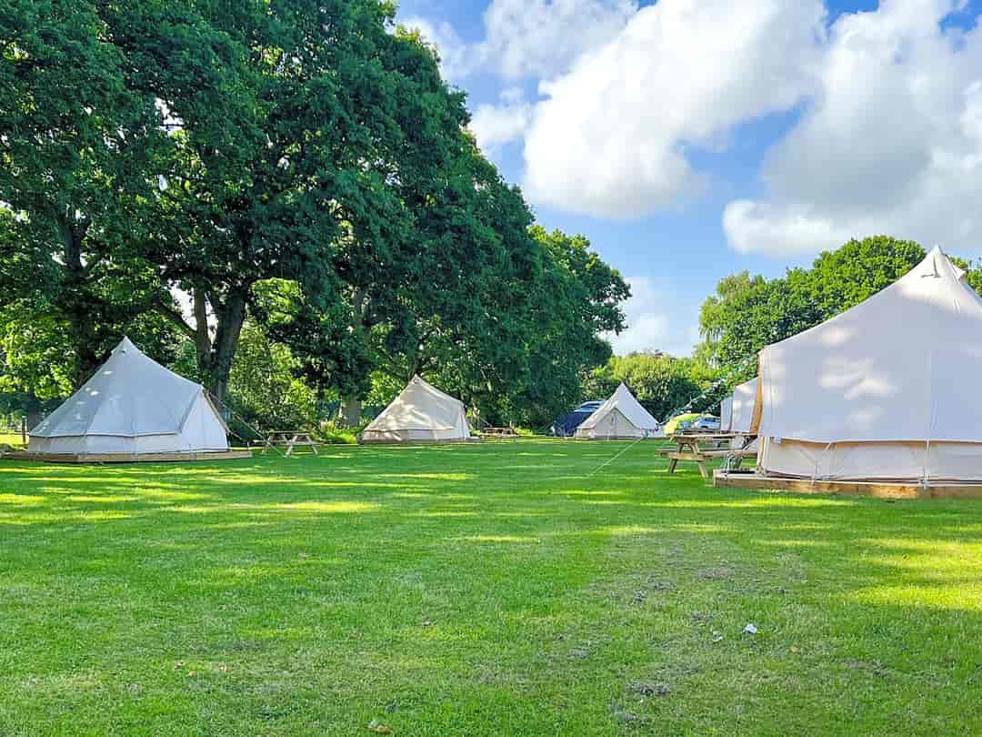 The Homestead: Bell tents (photo added by manager on 18/08/2022)
