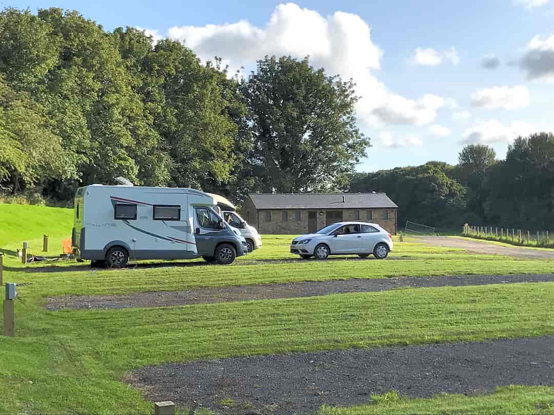 Ashton Hall Caravan Park: Generously sized pitches with hardstanding and grassed areas
