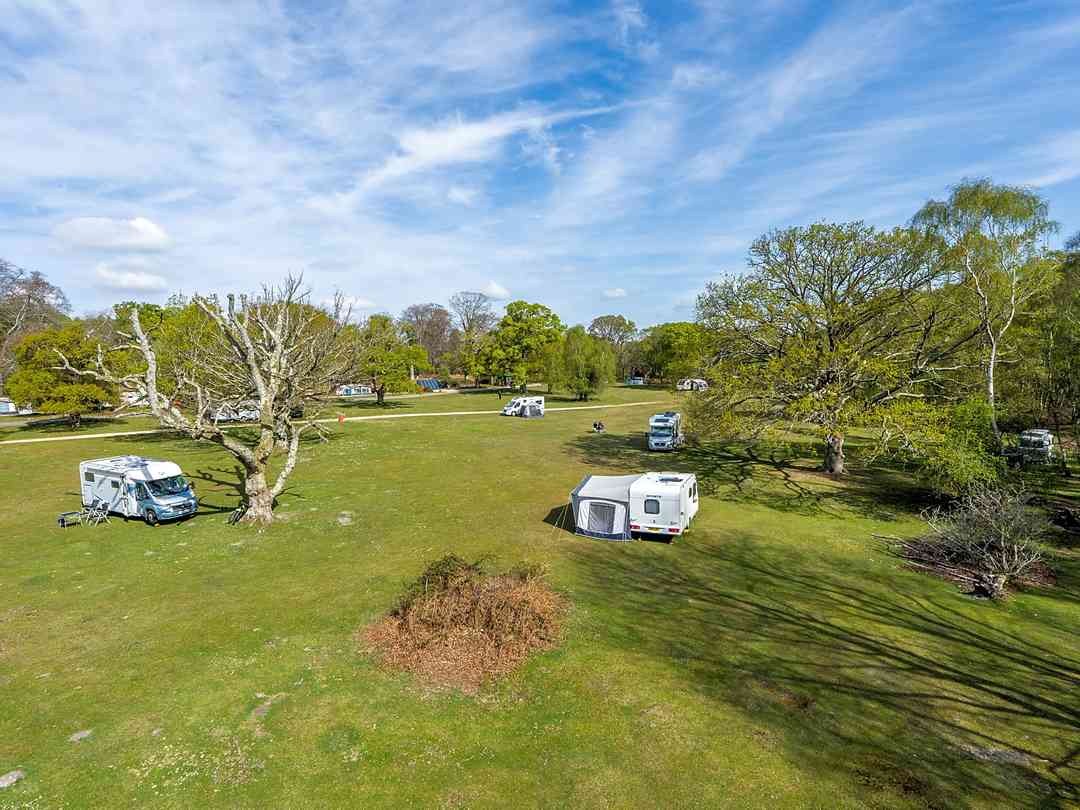 Denny Wood: Spacious grass pitches