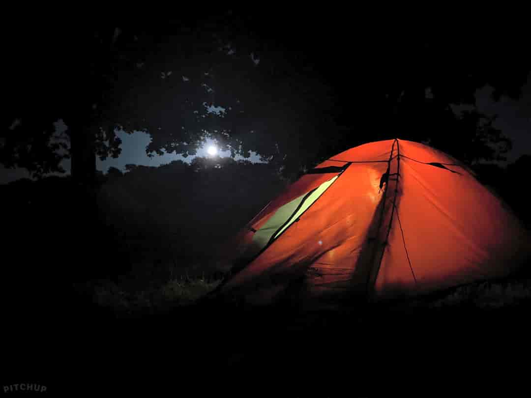 Clarefield Copse Wild Camping: Moon rising over my tent