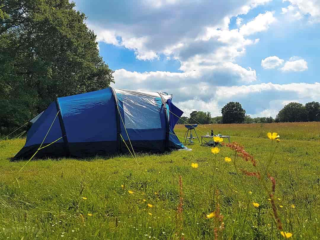 Damson Field Rustic Camping: Generous pitch sizes