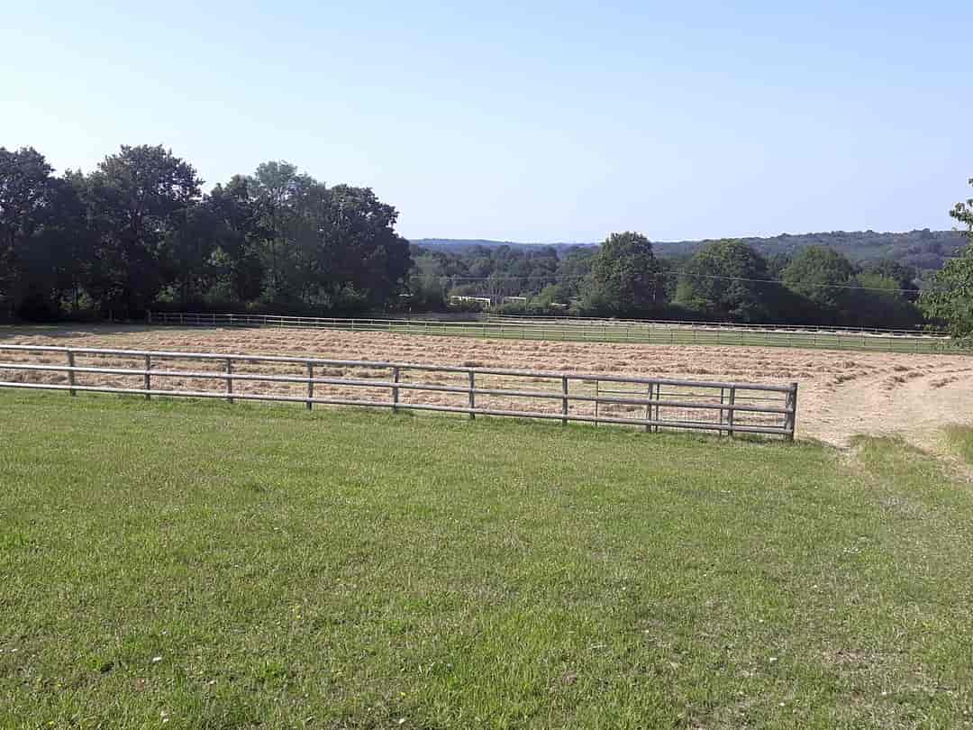 Coldharbour Farm: View of the hay field from the pitch